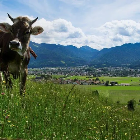 Mia In Waengle Bei * Reutte