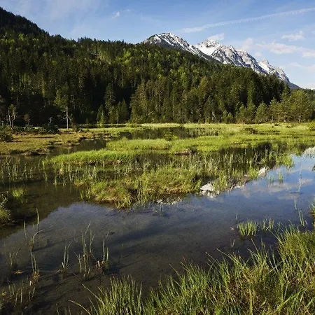 Διαμέρισμα Mia In Waengle Bei Reutte
